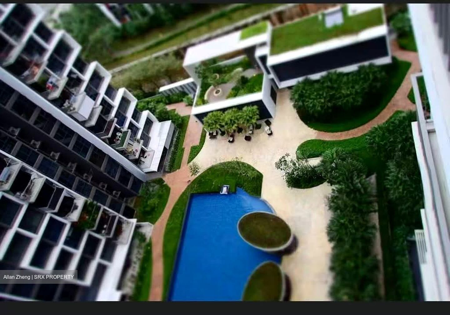 Blossom Residences (D23), Condominium #561593431